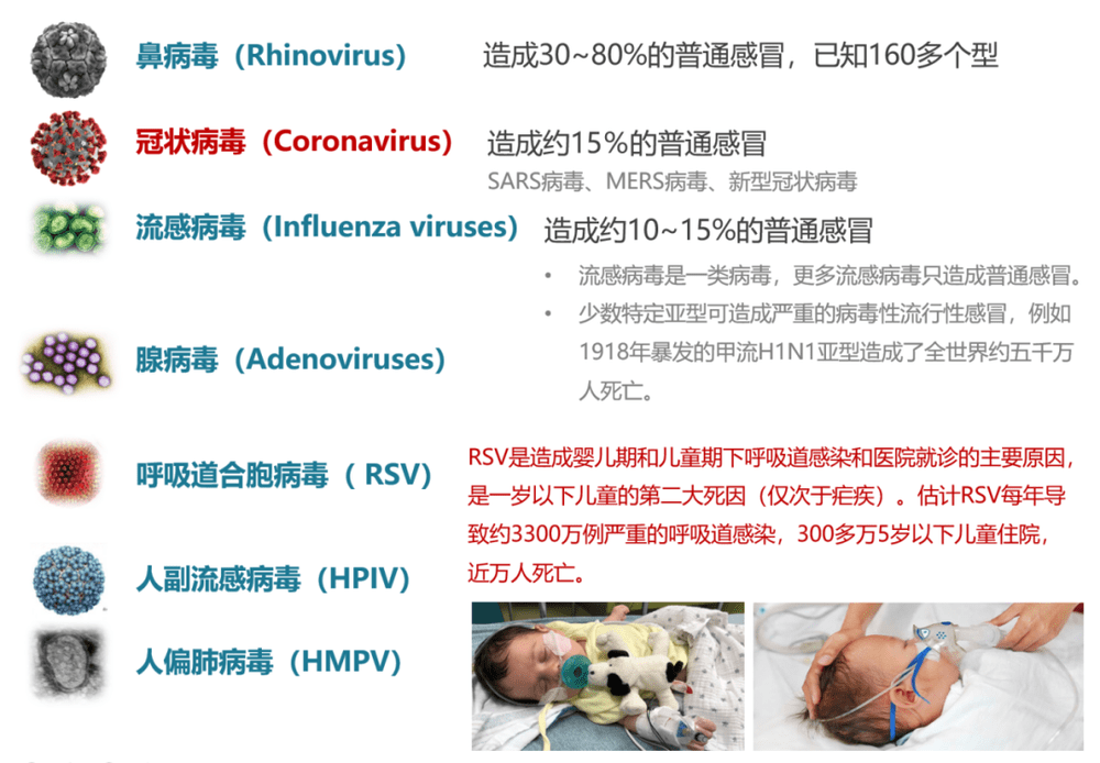 导致呼吸道感染的常见病毒丨作者：李庆超<br label=图片备注 class=text-img-note>