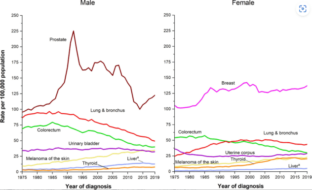 1975~2019年美国不同性别的特定癌症发病率趋势，图源自Cancer statistics， 2023报告<br>