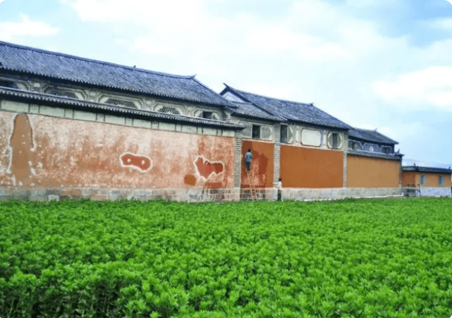 喜林苑杨品相宅外墙修复及粉刷 2006，引自《寻乡中国》