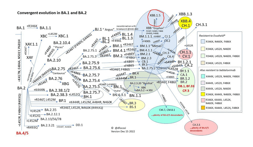 图2. 导致XBB1.5出现的关键性突变F486P。<br label=图片备注 class=text-img-note>