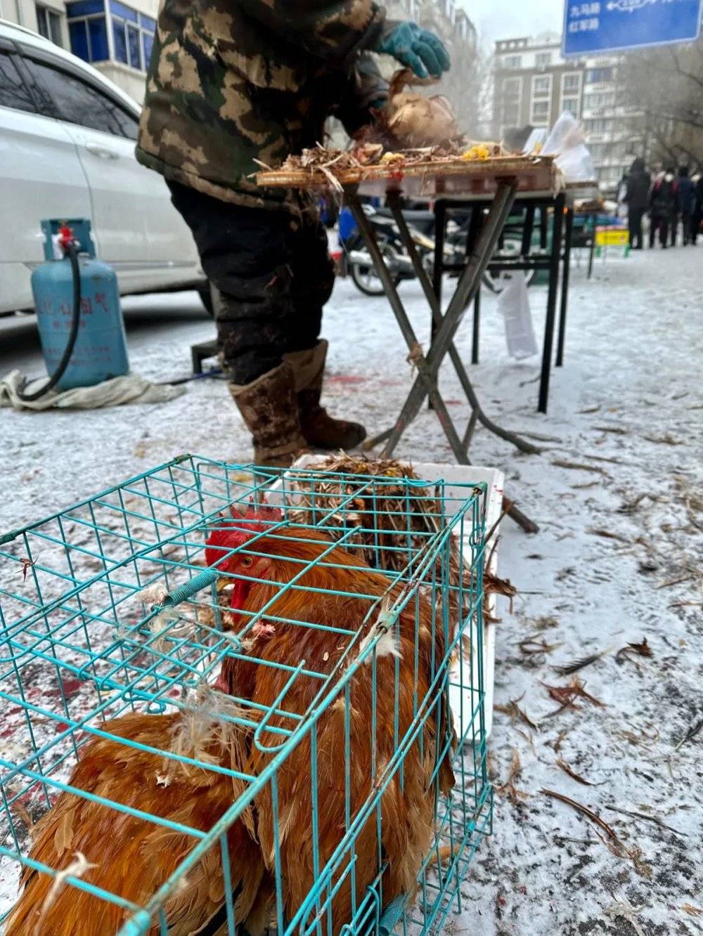 仍在笼中的鸡也许明白，它的时间也不多了。 时代周报记者 刘沐轩摄