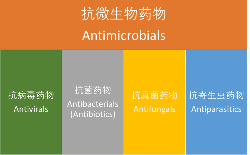 抗微生物药物分类，制图：写同意