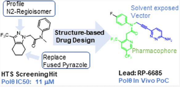 图8. 通过高通量筛选和基于结构优化发现化合物RP-6685