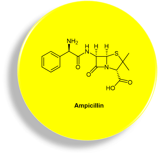 图1. Ampicillin化学结构<br>