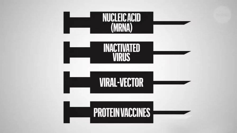 图2 目前主要的新冠疫苗，来自：nature<br>