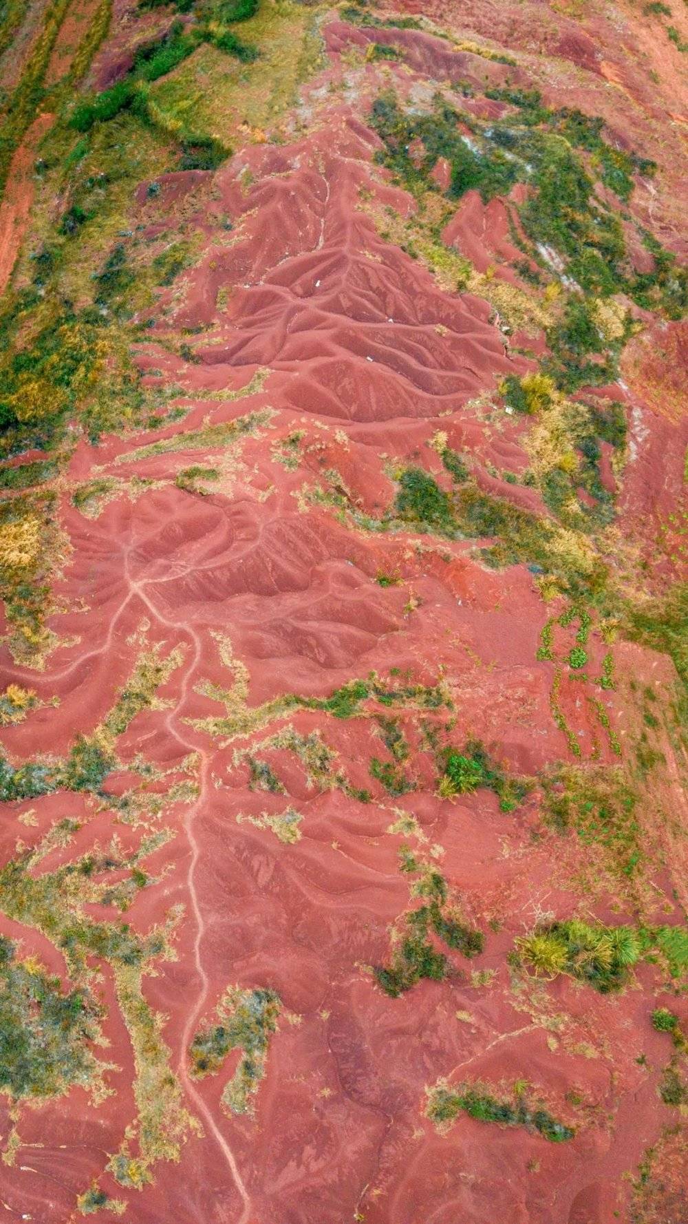 很难想到，在广东境内还有这么一片苍凉广袤的“红沙漠”。摄影/陈彦