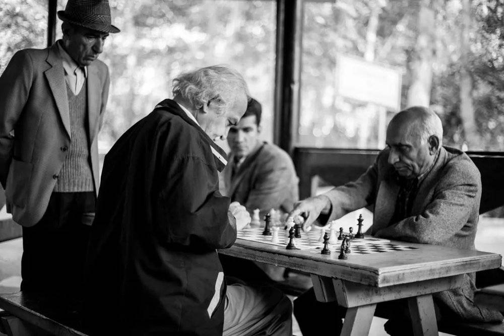 公园里在下棋的人 