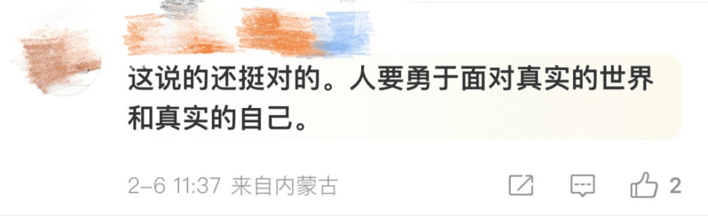 （网友评论截图）<br>