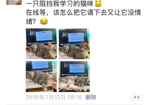  我的学习日常。受访者供图