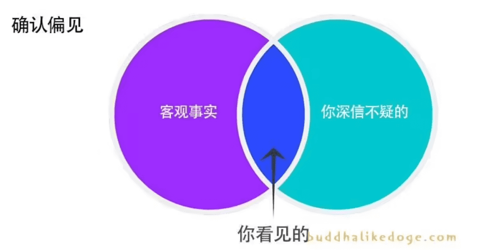 （证实偏见）<br>