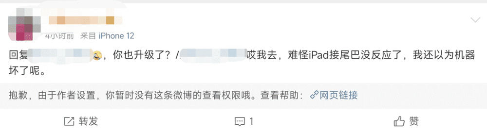 原博已隐藏，图：新浪微博