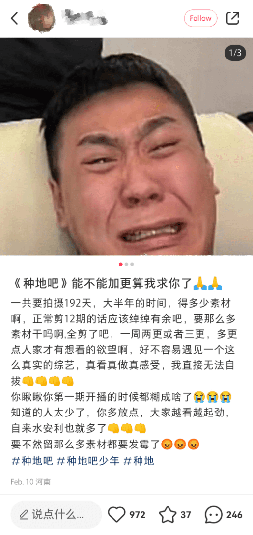 小红书网友催更<br>