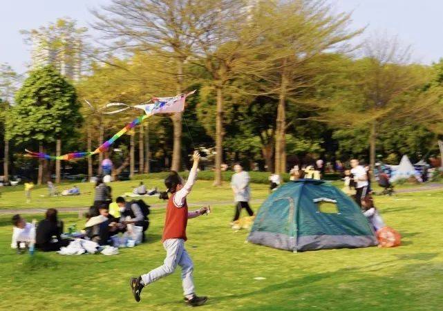 在扎满帐篷的草坪上，小女孩拿着风筝奔跑。时代财经王莹岭摄