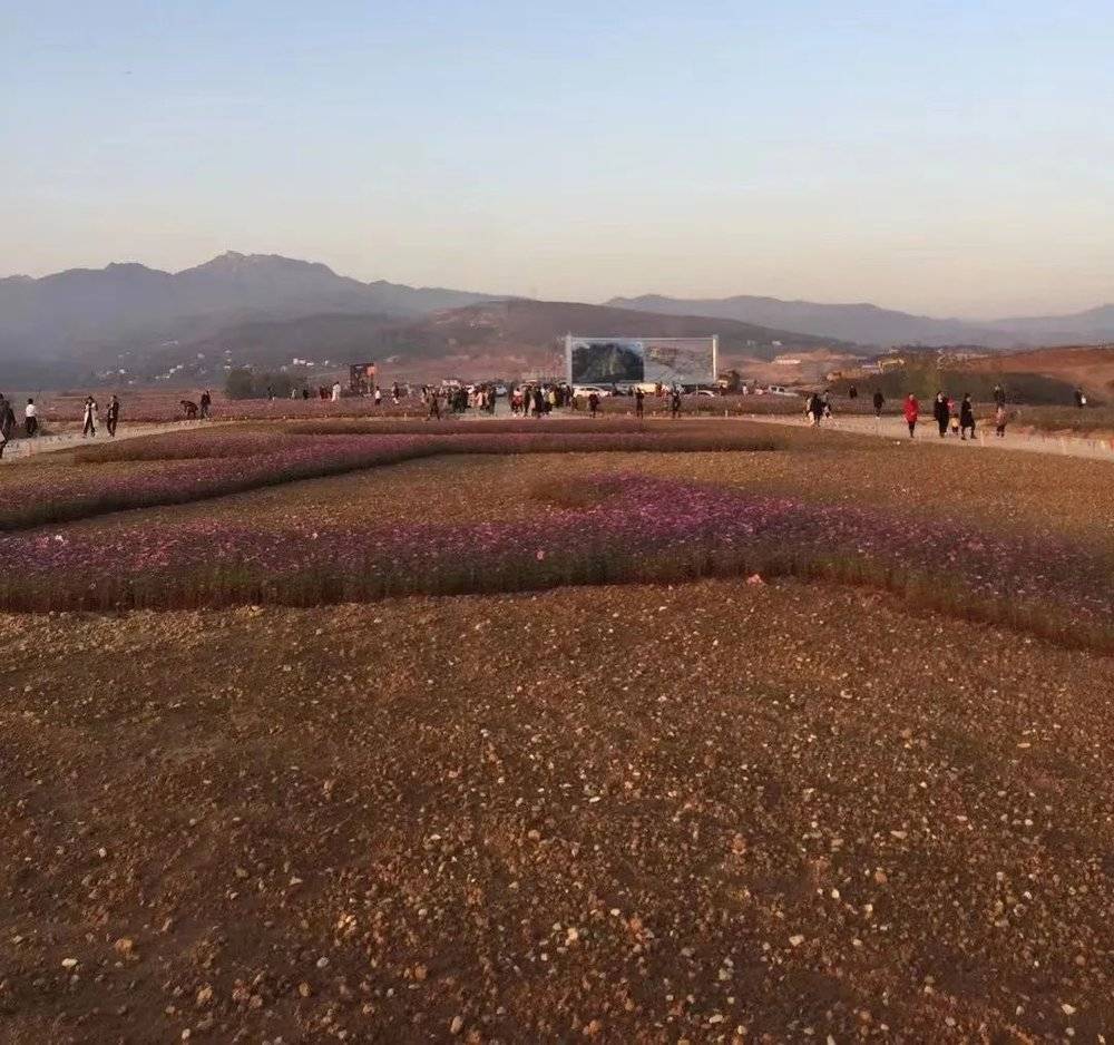 图 | 机场外新建的景点