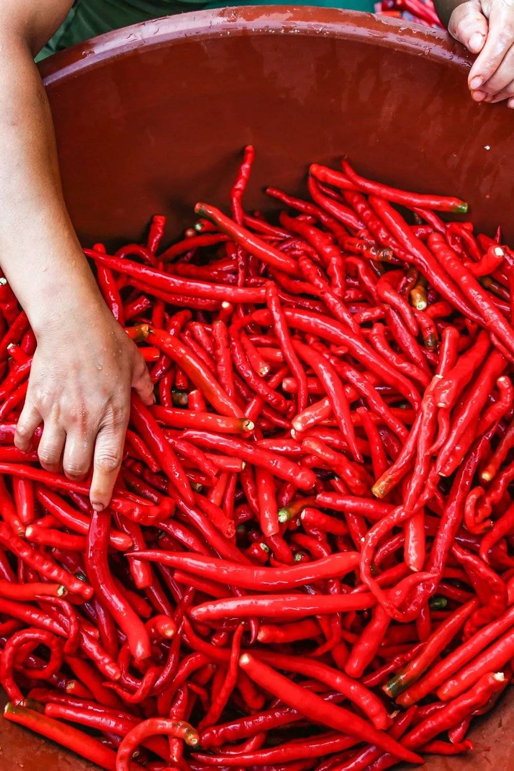 辣椒的火爆，是贵州人最熟悉的味道。