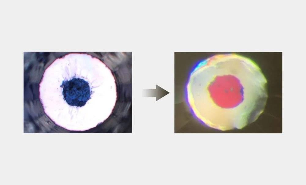 当金刚石压砧压缩新产生的镥-氮-氢化合物时，蓝色的晶体变成了粉红色，电阻降至为零。（图/RANGA DIAS）<br label=图片备注 class=text-img-note>