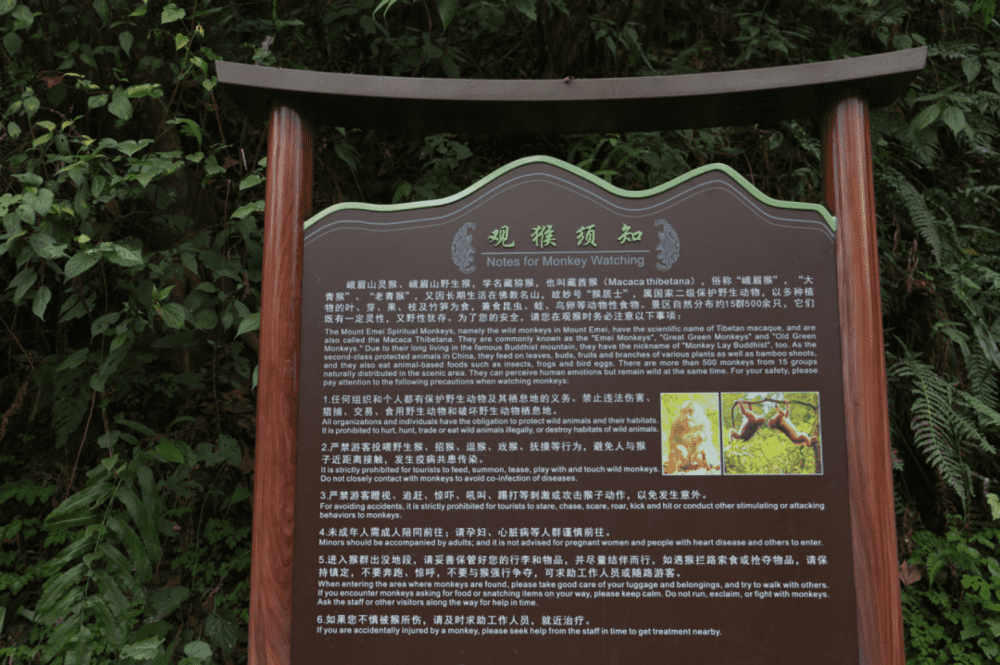 景区随处可见的“观猴须知”，提醒游客不要投喂，但还是阻挡不住人们拿着大袋小袋来喂猴。<br>
