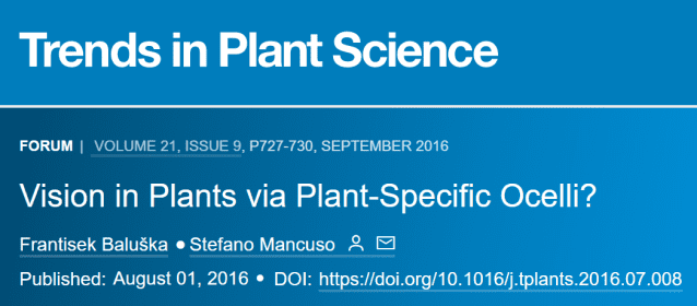 图2. Baluška与Mancuso合著的综述，提出植物因为特有的单眼结构而具有视觉功能，来源：10.1016/j.tplants.2016.07.008<br>