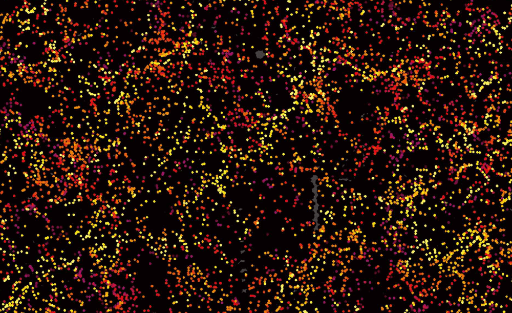 宇宙切片 | 这幅图中的每个彩色像素都是一个60亿光年距离内的星系，由重子振荡光谱巡天（BOSS）绘制。颜色表示每个星系的距离，从近（黄色）到远（紫色）。<br>