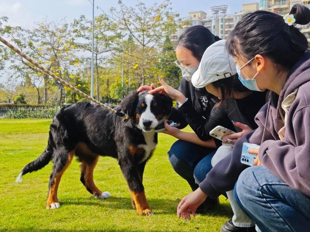 小狗委屈。/由受访者提供