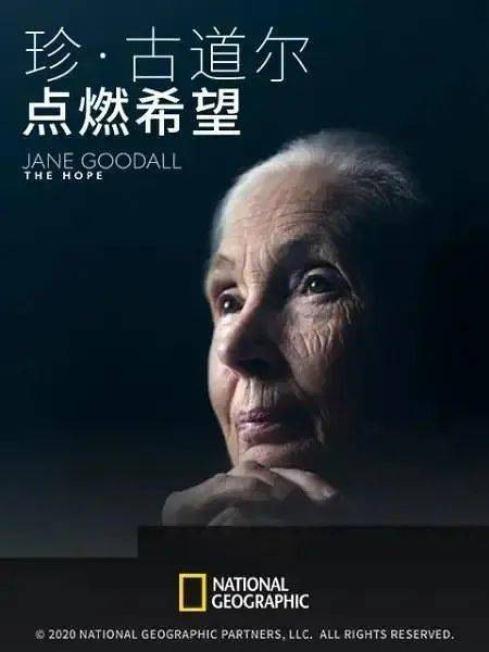 △纪录片《珍·古道尔：点燃希望》的宣传海报。/《珍·古道尔：点燃希望》<br>