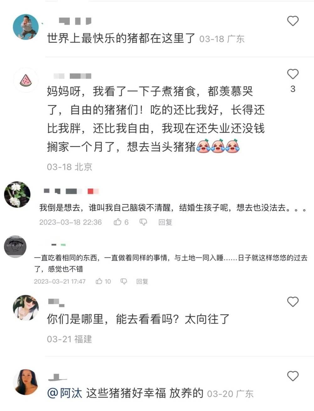 图/网友评论