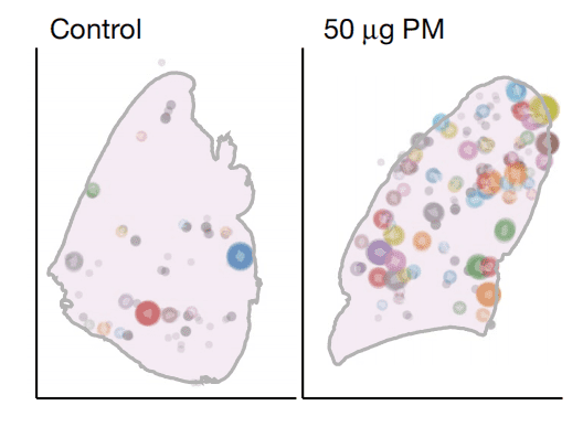 与对照组相比，在50um的PM2.5下，细胞更容易发生突变，图/Nature