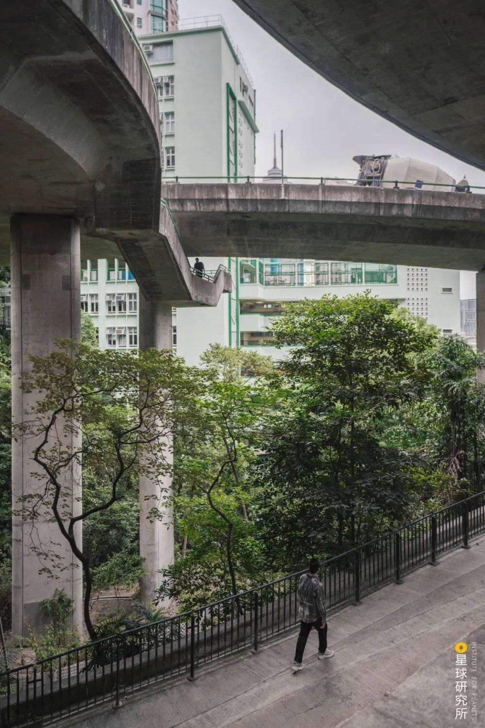 香港己连拿利天桥，摄影师@帽匠HatterWei