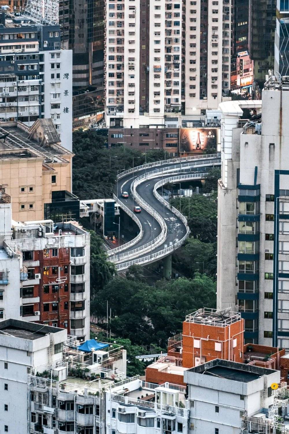 香港铜锣湾行车天桥，摄影师@鹿椰青