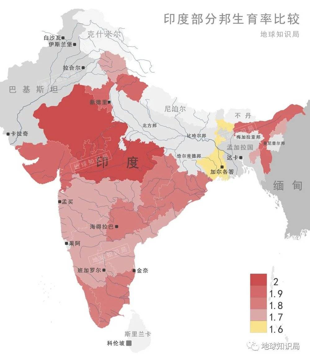 图/相对北部，南部“造人”会佛系一点