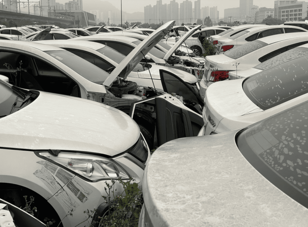 汽车“坟场”内，密集停放的“僵尸车”/豹变