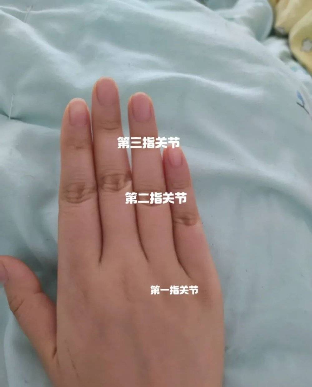 手指关节示意图。/小红书@李哈哈