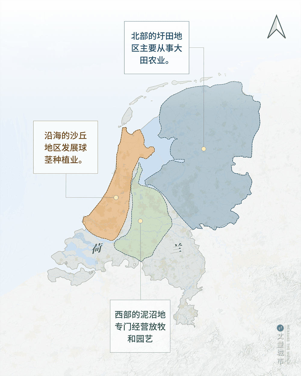 荷兰农业明确的区域分工
