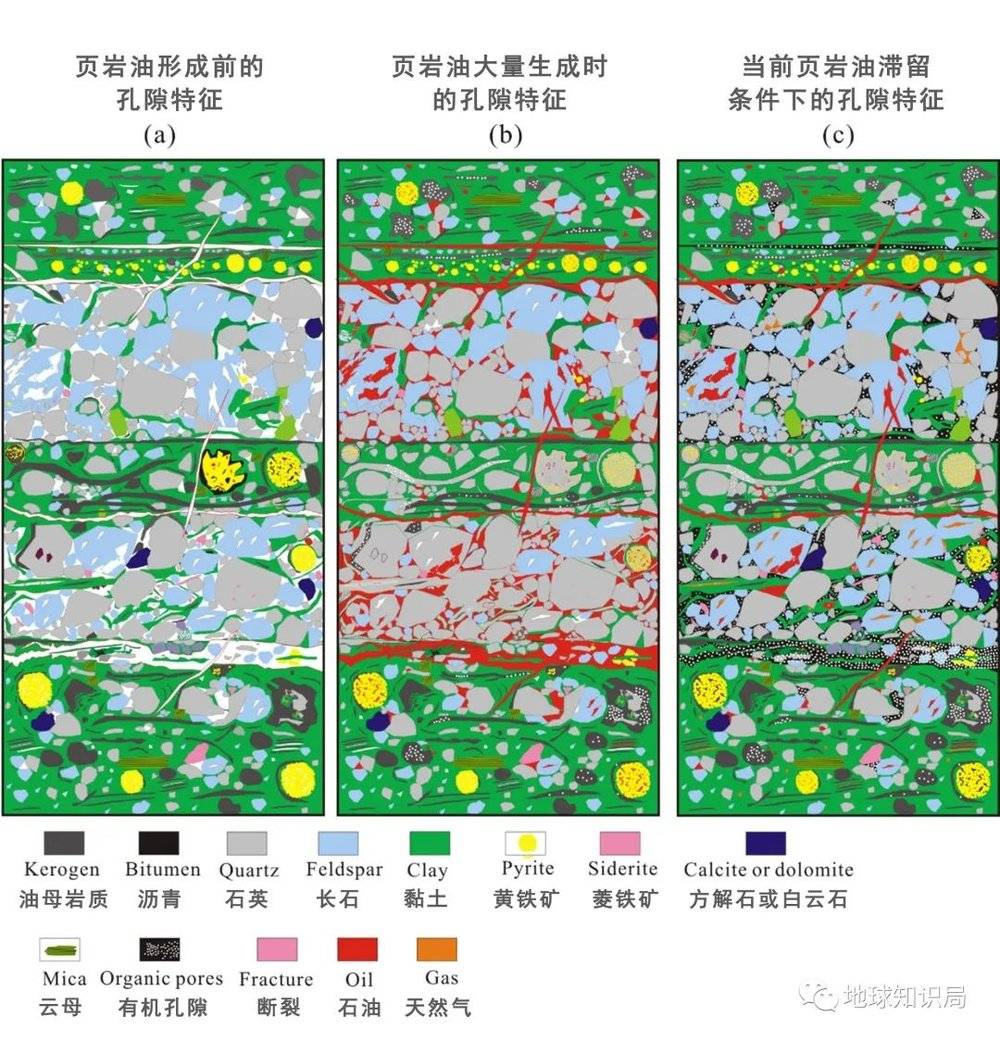 图/页岩油气就藏在这“花花绿绿”的岩石缝里，想请它们出来实属不易（页岩油微观滞留运移模型）