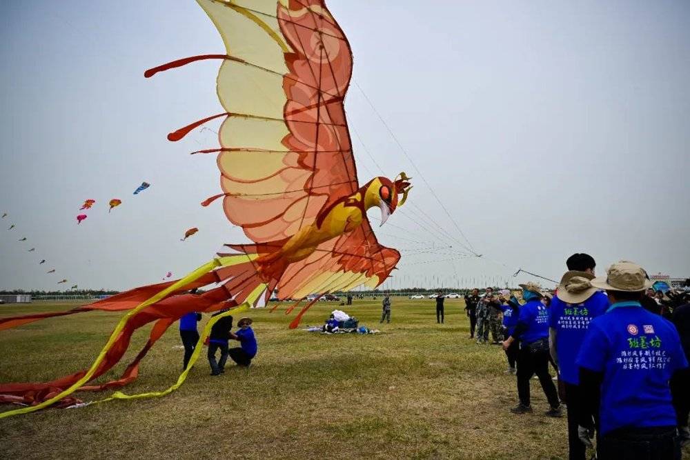 潍坊传统风筝——梦幻凤凰传音纸鸢。图/受访者提供