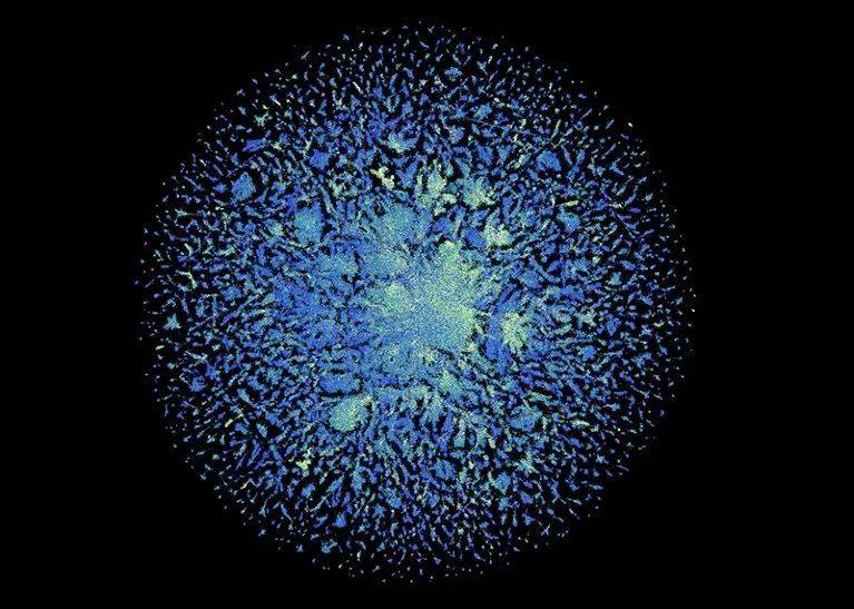 6.17亿种蛋白质结构的全览 | 图源：ESM Metagenomic Atlas