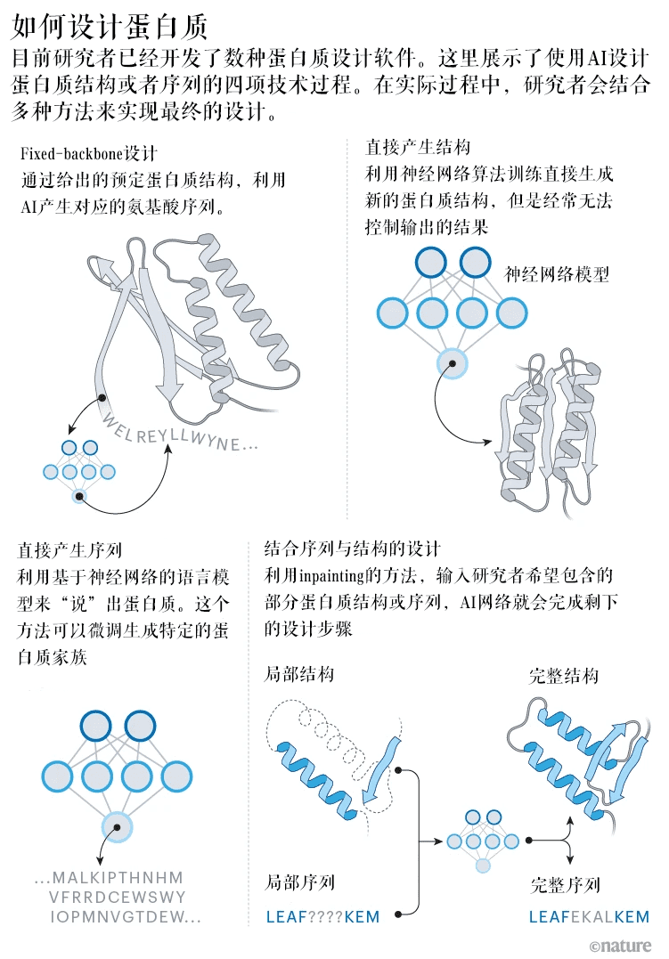 四种目前常用的设计蛋白质策略 | 图片翻译自：Nature<br>