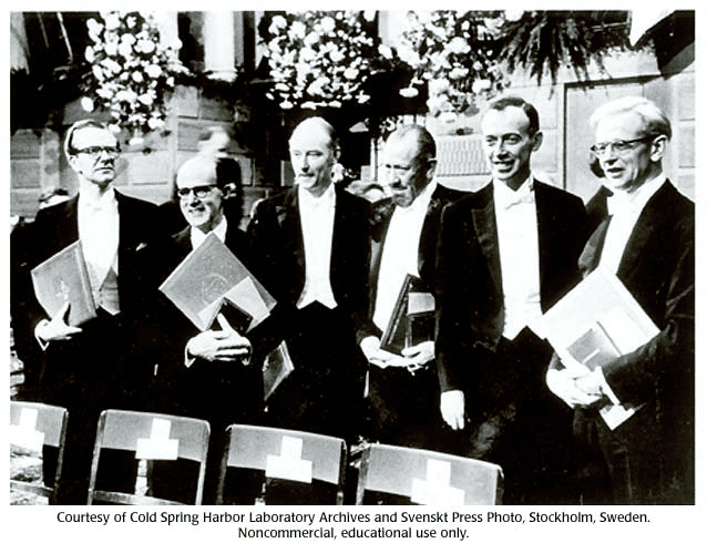 1962年部分诺贝尔奖得主，从左至右依次为威尔金斯、佩鲁茨（化学奖）、克里克、 斯坦贝克（文学奖）、沃森、肯德鲁（化学奖）。图源：冷泉港实验室
