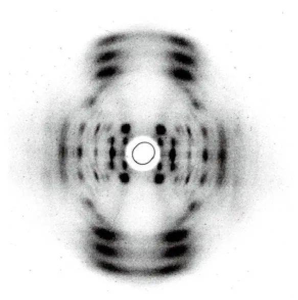 威尔金斯在那不勒斯会议上展示的DNA的X射线衍射图。图源：沃森《双螺旋》