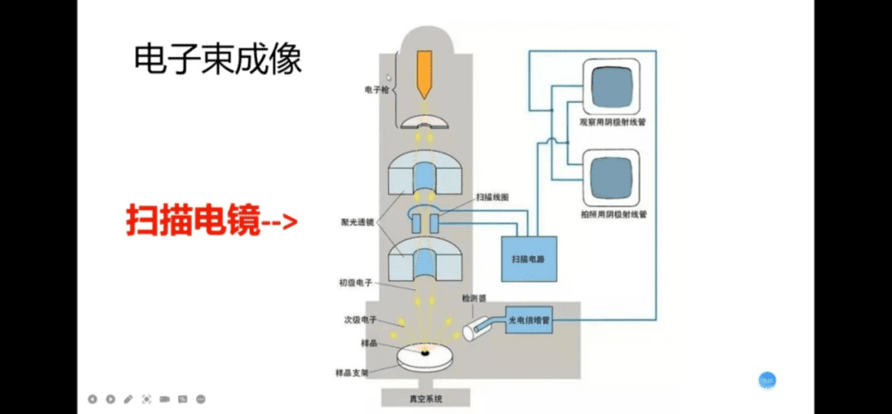 图30：扫描电子显微镜（SEM）剖面图