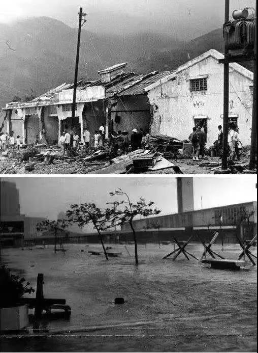 ▲ 1956年8月，台风”温黛“造成了重大人员伤亡。图片/网络